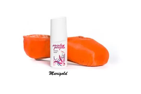 Canvas Pointe Paint (Variety of Colors)
